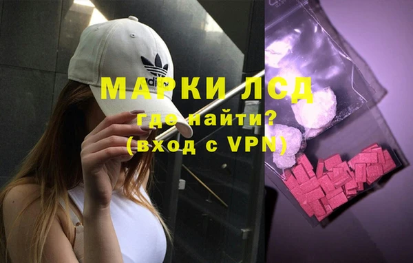 гашик Новодвинск